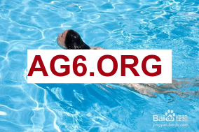 球探手机比分旧版本